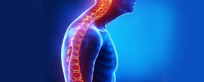 Read more about the article KYPHOSIS: emotional and spirutual causes