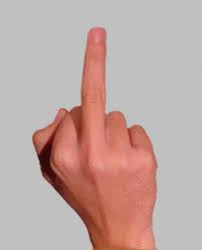 Read more about the article THE MIDDLE FINGER, emotional and spiritual meaning