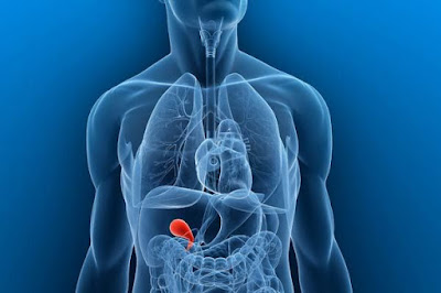 Read more about the article GALLBLADDER, emotional and spiritual meaning