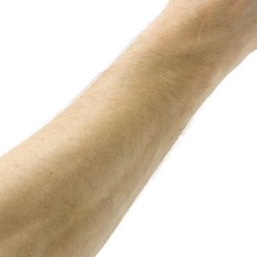 Read more about the article FOREARM, emotional and spiritual meaning