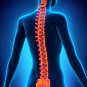 SPINE, emotional and spiritual meaning