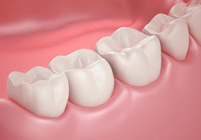 Read more about the article MOLARS, emotional and spiritual meaning