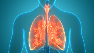 Read more about the article LUNGS diseases, emotional and spiritual meaning