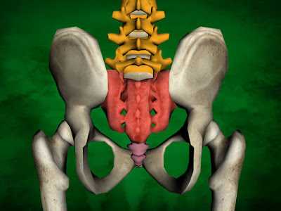 Read more about the article SACRUM, emotional and spiritual meaning