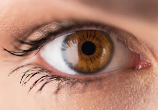 Read more about the article RETINA, emotional and spiritual meaning