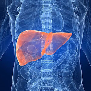 LIVER, emotional and spiritual meaning
