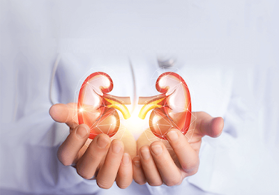 Read more about the article CHRONIC KIDNEY FAILURE, emotional meaning