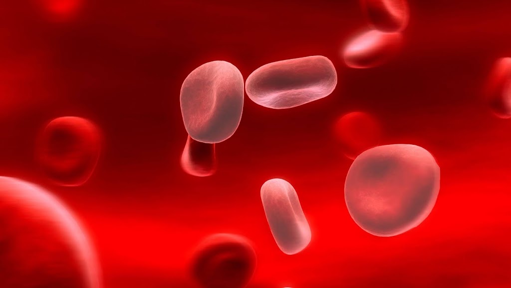 Read more about the article ANEMIA, emotional and spiritual meaning