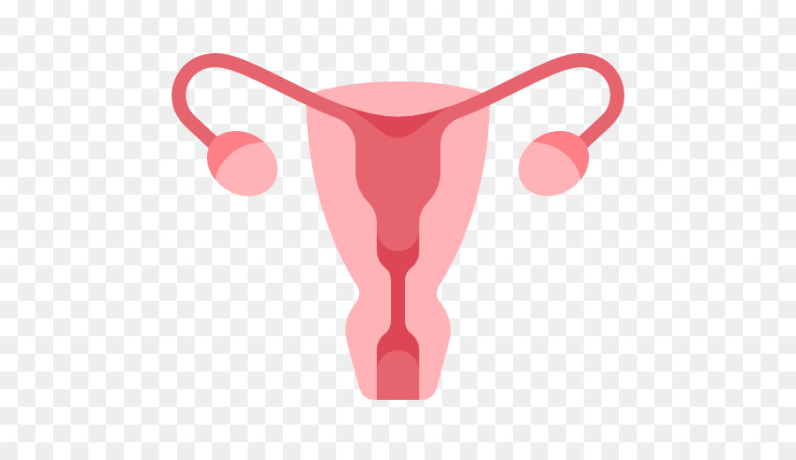 Read more about the article NECK OF THE UTERUS, emotional and spiritual meaning