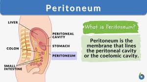 PERITONEUM, emotional and spiritual meaning