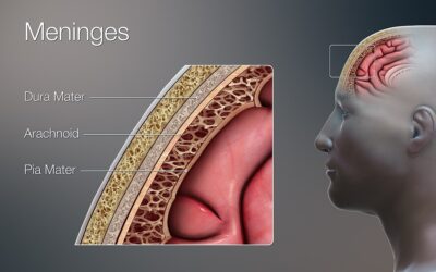 MENINGES, emotional and spiritual meaning